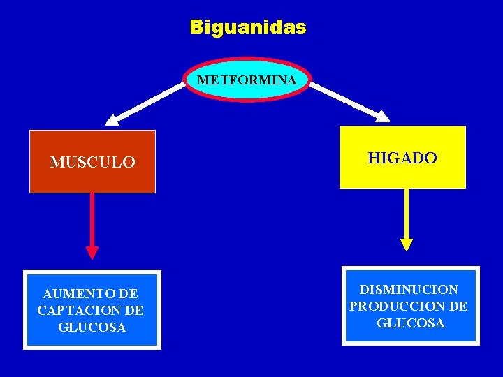 Biguanidas METFORMINA MUSCULO AUMENTO DE CAPTACION DE GLUCOSA HIGADO DISMINUCION PRODUCCION DE GLUCOSA 