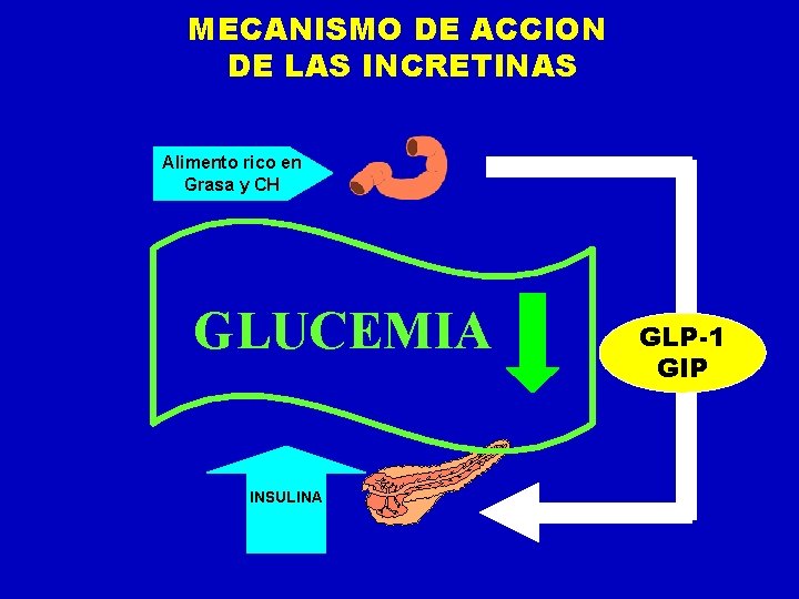 MECANISMO DE ACCION DE LAS INCRETINAS Alimento rico en Grasa y CH GLUCEMIA INSULINA