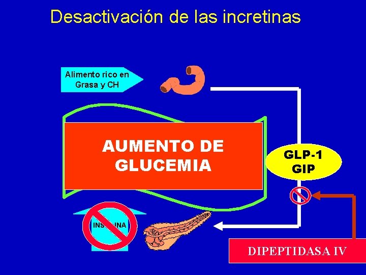 Desactivación de las incretinas Alimento rico en Grasa y CH AUMENTO DE GLUCEMIA GLP-1