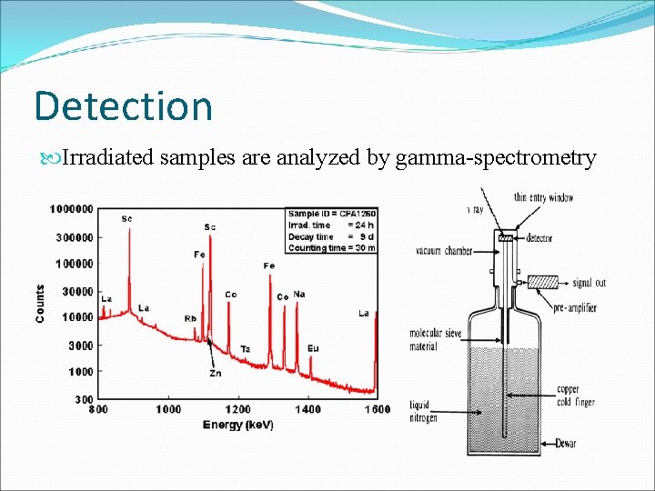 Detection Irradiated samples are analyzed by gamma-spectrometry 
