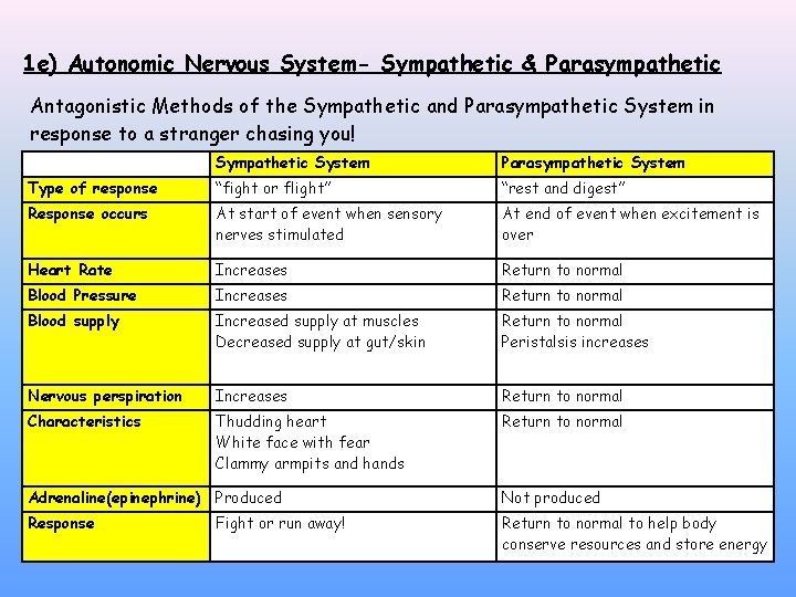 1 e) Autonomic Nervous System- Sympathetic & Parasympathetic Antagonistic Methods of the Sympathetic and