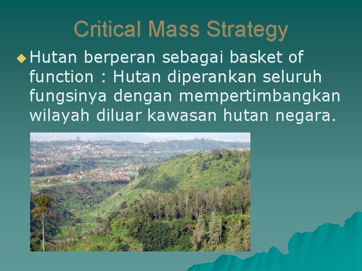 Critical Mass Strategy u Hutan berperan sebagai basket of function : Hutan diperankan seluruh