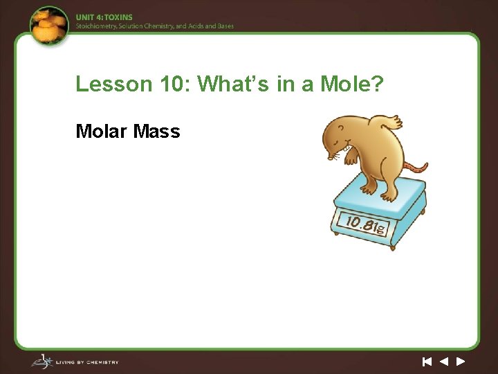 Lesson 10: What’s in a Mole? Molar Mass 