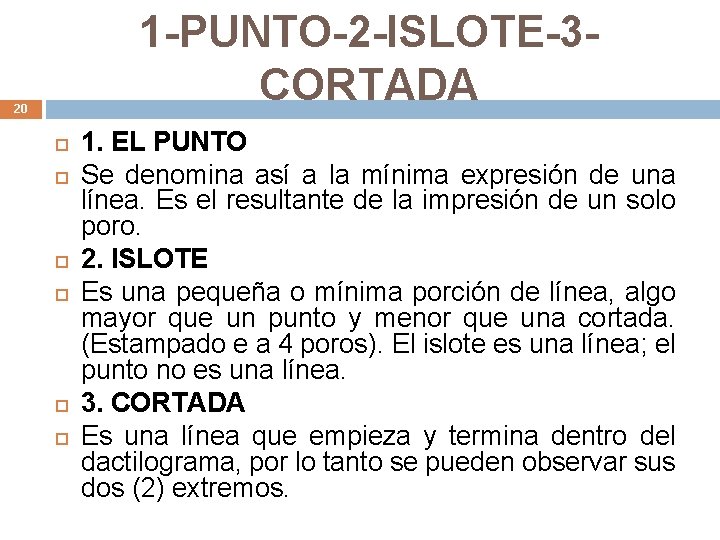 1 -PUNTO-2 -ISLOTE-3 CORTADA 20 1. EL PUNTO Se denomina así a la mínima