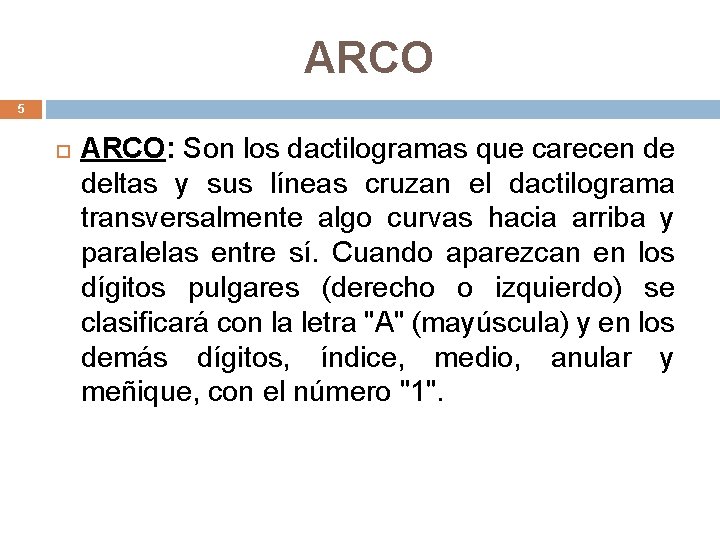 ARCO 5 ARCO: Son los dactilogramas que carecen de deltas y sus líneas cruzan