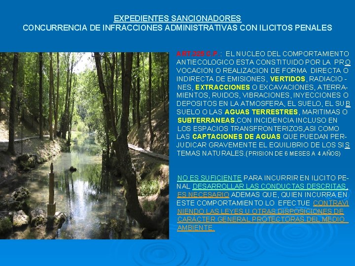 EXPEDIENTES SANCIONADORES CONCURRENCIA DE INFRACCIONES ADMINISTRATIVAS CON ILICITOS PENALES ART. 325 C. P. :