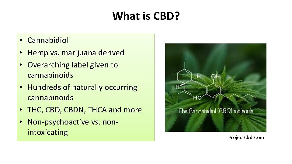 What is CBD? • Cannabidiol • Hemp vs. marijuana derived • Overarching label given