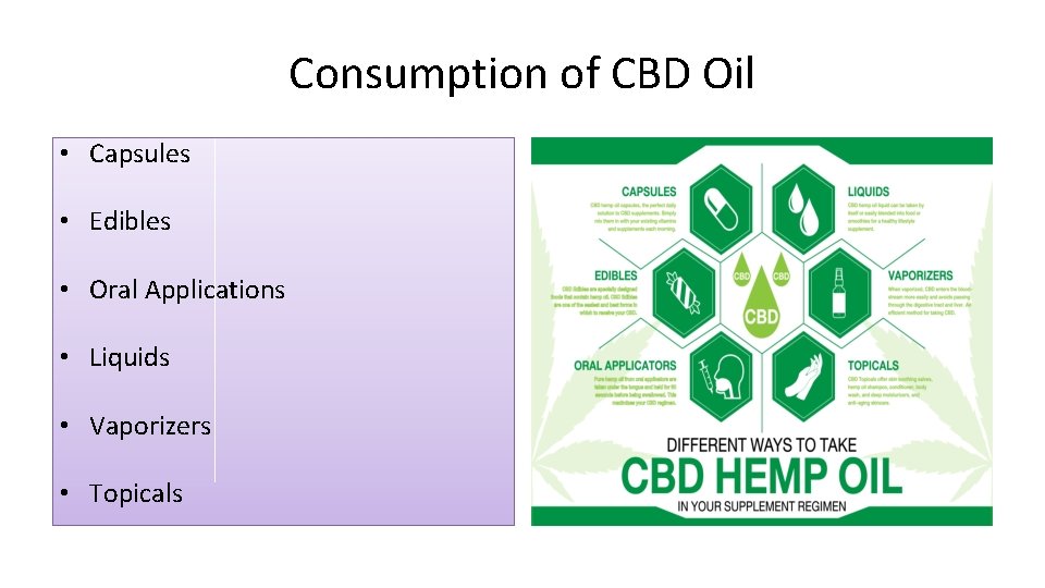 Consumption of CBD Oil • Capsules • Edibles • Oral Applications • Liquids •