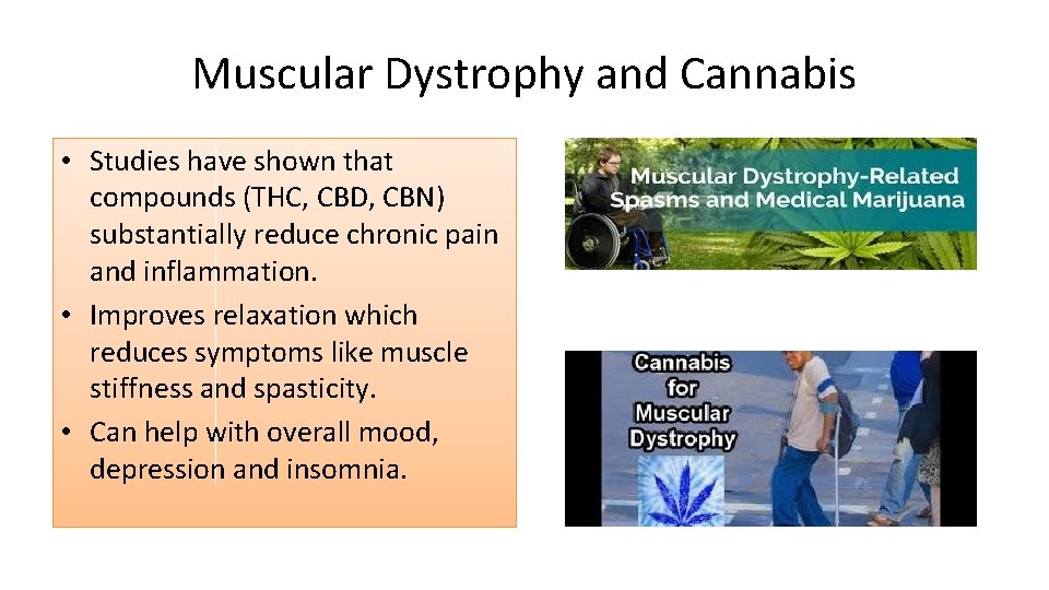 Muscular Dystrophy and Cannabis • Studies have shown that compounds (THC, CBD, CBN) substantially