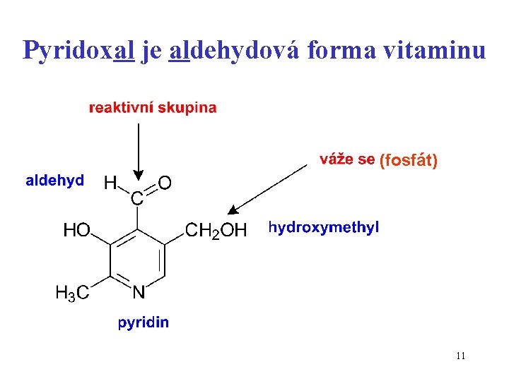 Pyridoxal je aldehydová forma vitaminu (fosfát) 11 