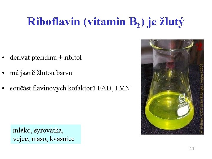 Riboflavin (vitamin B 2) je žlutý • derivát pteridinu + ribitol • má jasně