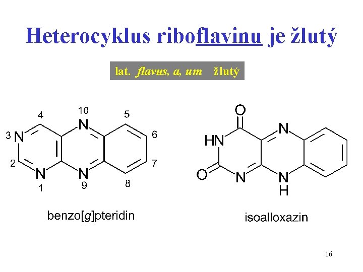 Heterocyklus riboflavinu je žlutý lat. flavus, a, um žlutý 16 