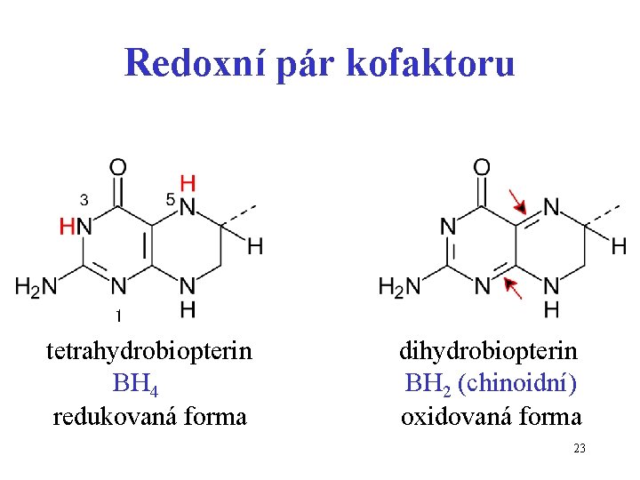 Redoxní pár kofaktoru 1 tetrahydrobiopterin BH 4 redukovaná forma dihydrobiopterin BH 2 (chinoidní) oxidovaná