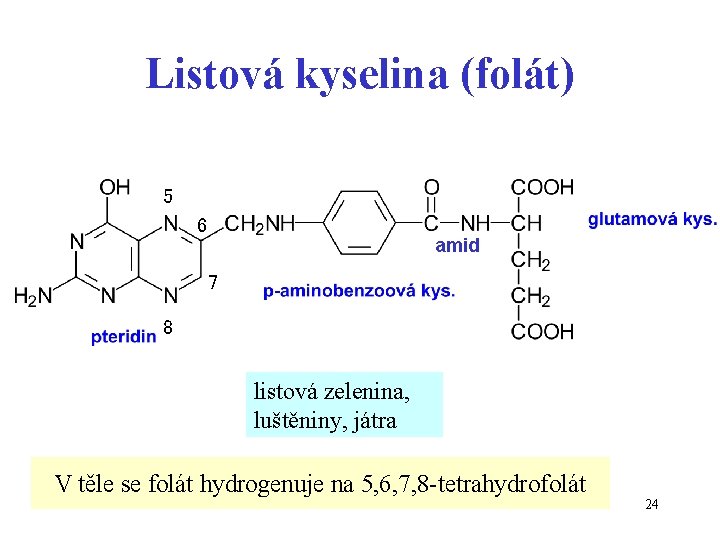 Listová kyselina (folát) 5 6 amid 7 8 listová zelenina, luštěniny, játra V těle