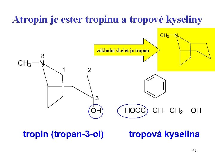 Atropin je ester tropinu a tropové kyseliny základní skelet je tropan 41 