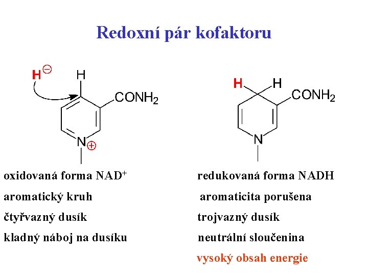 Redoxní pár kofaktoru oxidovaná forma NAD+ redukovaná forma NADH aromatický kruh aromaticita porušena čtyřvazný