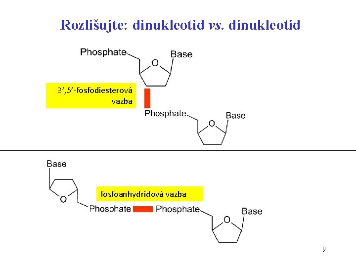Rozlišujte: dinukleotid vs. dinukleotid 3’, 5’-fosfodiesterová vazba fosfoanhydridová vazba 9 