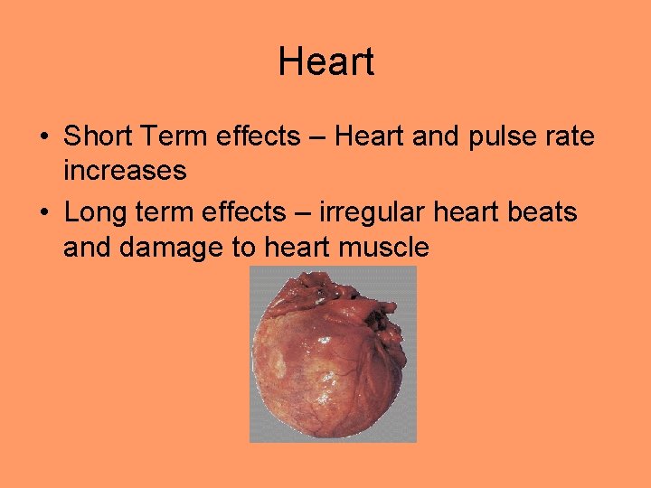 Heart • Short Term effects – Heart and pulse rate increases • Long term