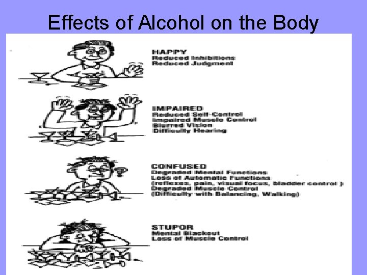 Effects of Alcohol on the Body 
