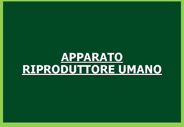 APPARATO RIPRODUTTORE UMANO 