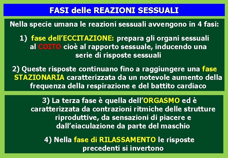 FASI delle REAZIONI SESSUALI Nella specie umana le reazioni sessuali avvengono in 4 fasi: