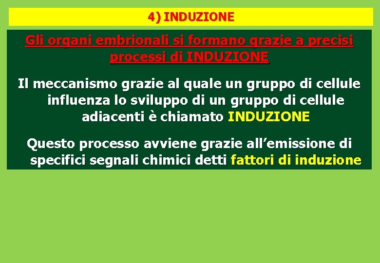 4) INDUZIONE Gli organi embrionali si formano grazie a precisi processi di INDUZIONE Il