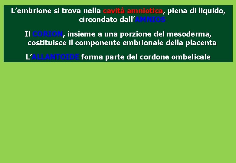 L’embrione si trova nella cavità amniotica, piena di liquido, circondato dall’AMNIOS Il CORION, insieme