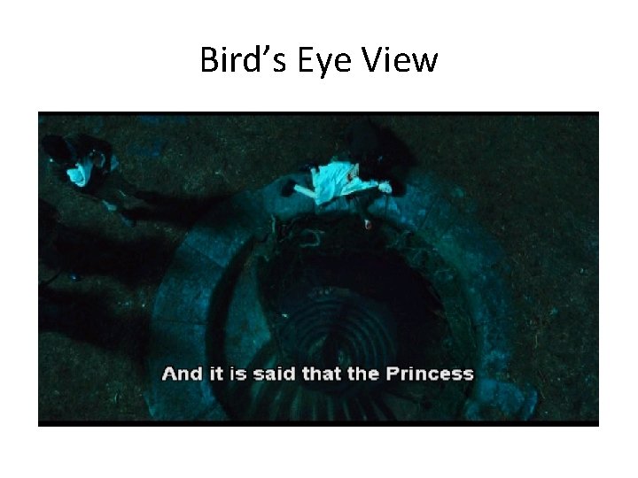 Bird’s Eye View 