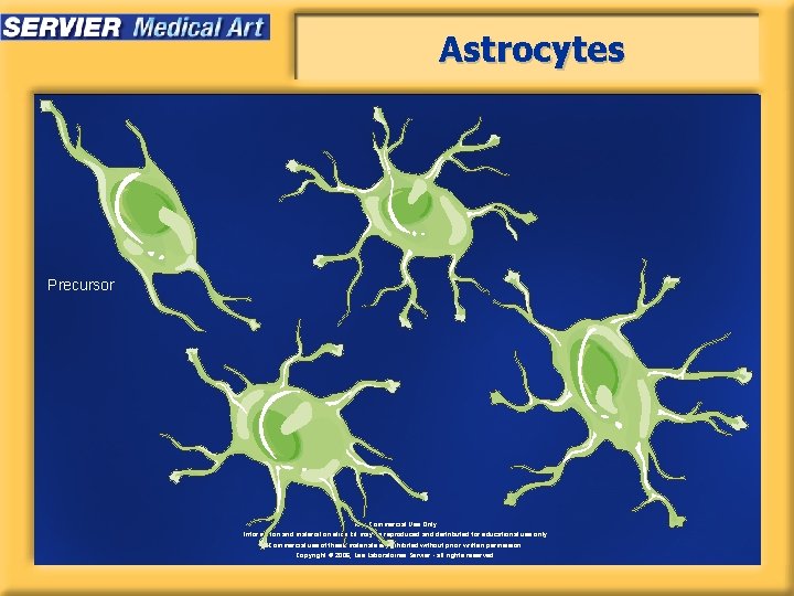 Astrocytes Precursor Non Commercial Use Only Information and material on slide kit may be
