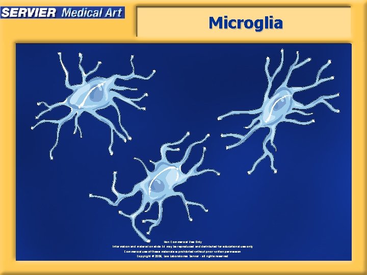 Microglia Non Commercial Use Only Information and material on slide kit may be reproduced