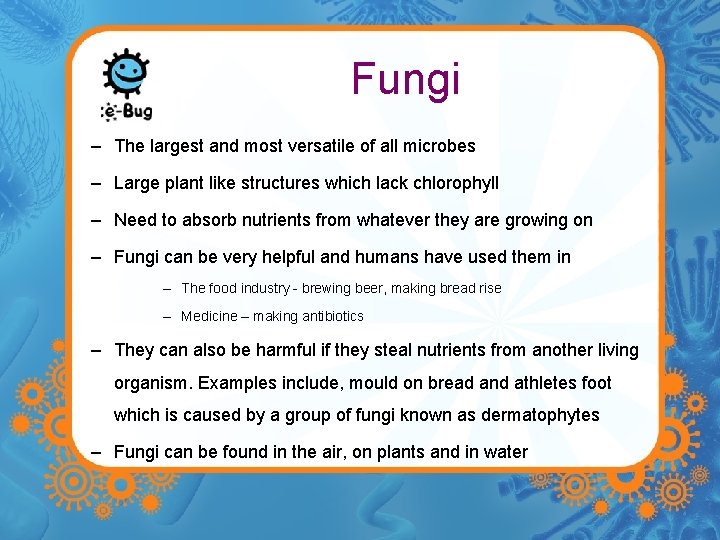 Fungi – The largest and most versatile of all microbes – Large plant like
