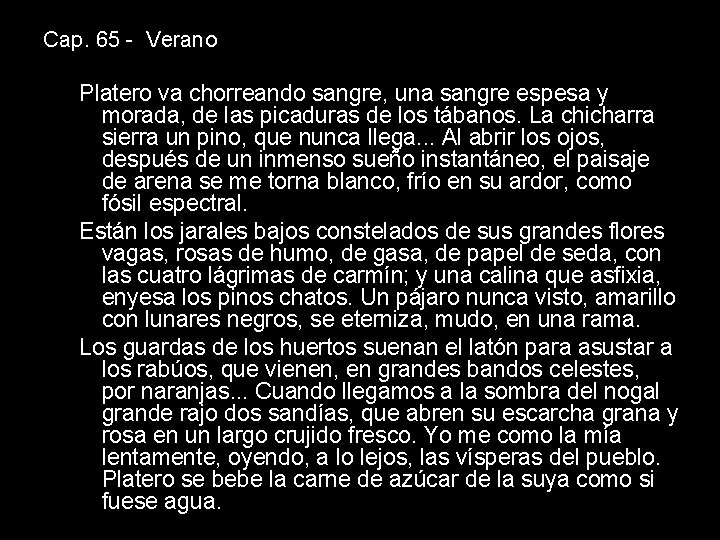 Cap. 65 - Verano Platero va chorreando sangre, una sangre espesa y morada, de