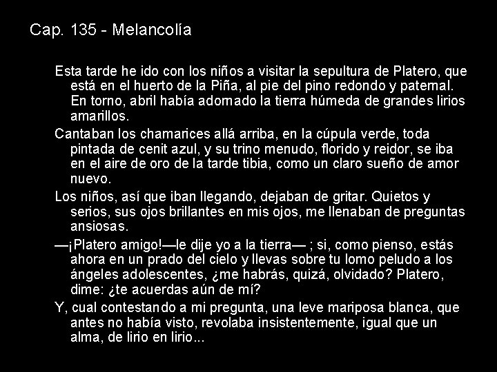 Cap. 135 - Melancolía Esta tarde he ido con los niños a visitar la