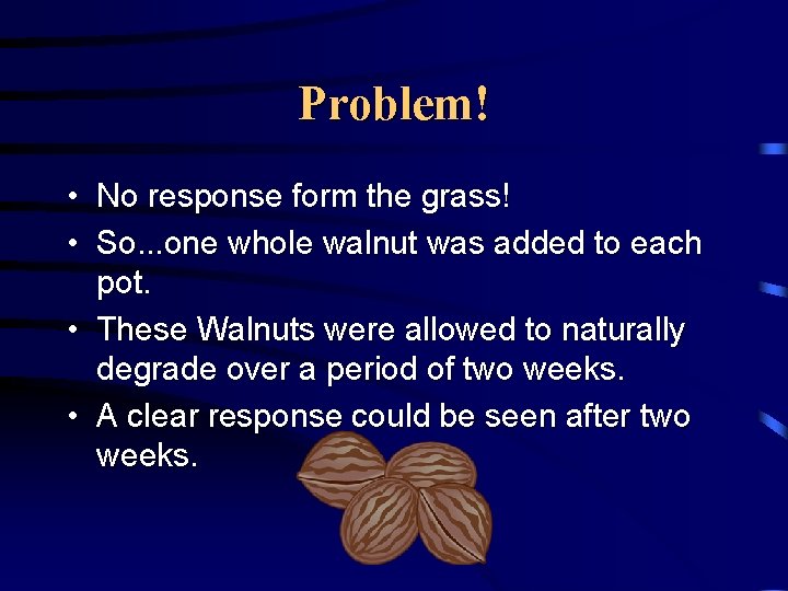Problem! • No response form the grass! • So. . . one whole walnut