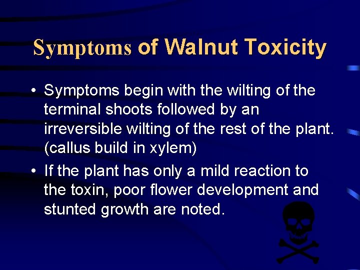 Symptoms of Walnut Toxicity • Symptoms begin with the wilting of the terminal shoots