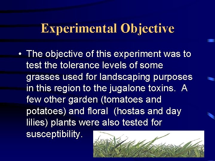 Experimental Objective • The objective of this experiment was to test the tolerance levels