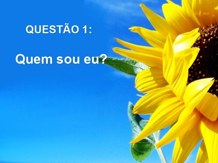 QUESTÃO 1: Quem sou eu? 