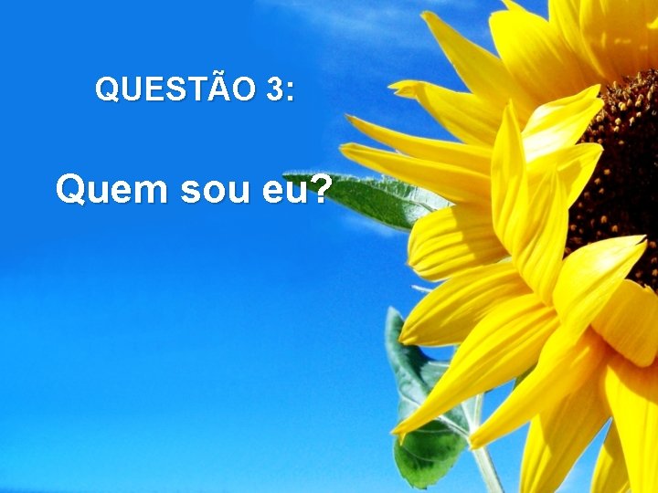 QUESTÃO 3: Quem sou eu? 