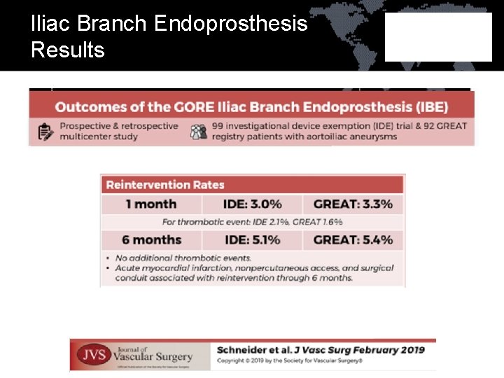 Iliac Branch Endoprosthesis Results 