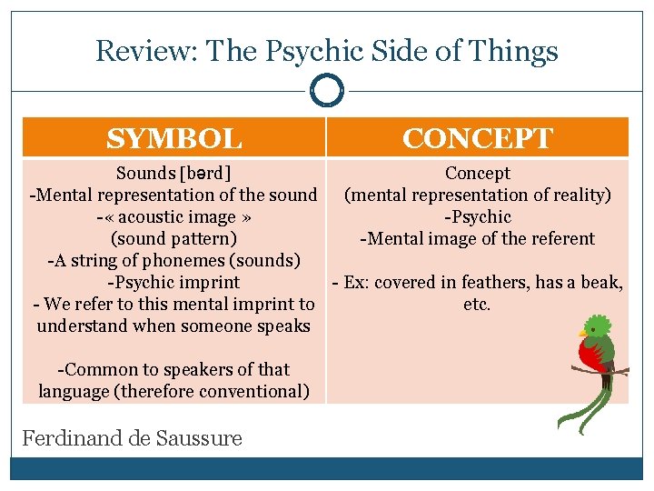 Review: The Psychic Side of Things SYMBOL CONCEPT Sounds bərd] Concept -Mental representation of