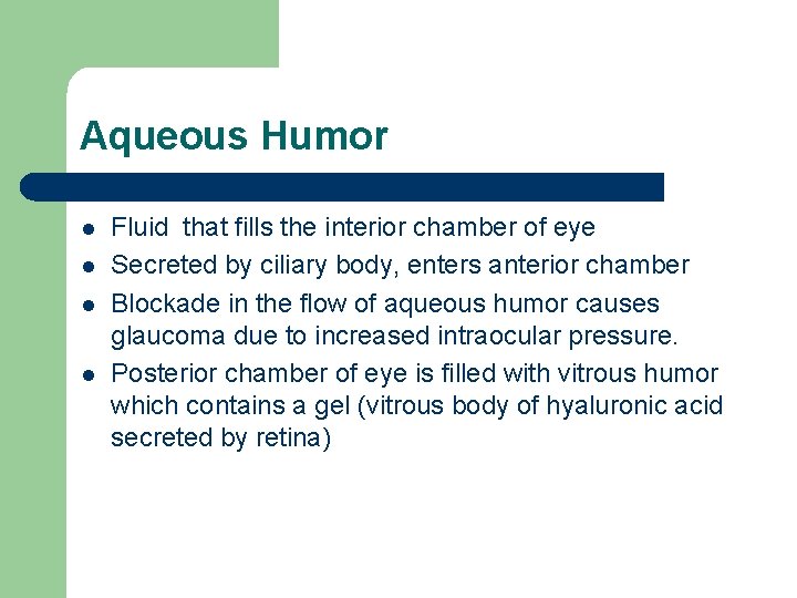 Aqueous Humor l l Fluid that fills the interior chamber of eye Secreted by