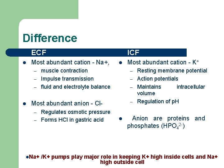 Difference l ECF l ICF l Most abundant cation - Na+, l Most abundant