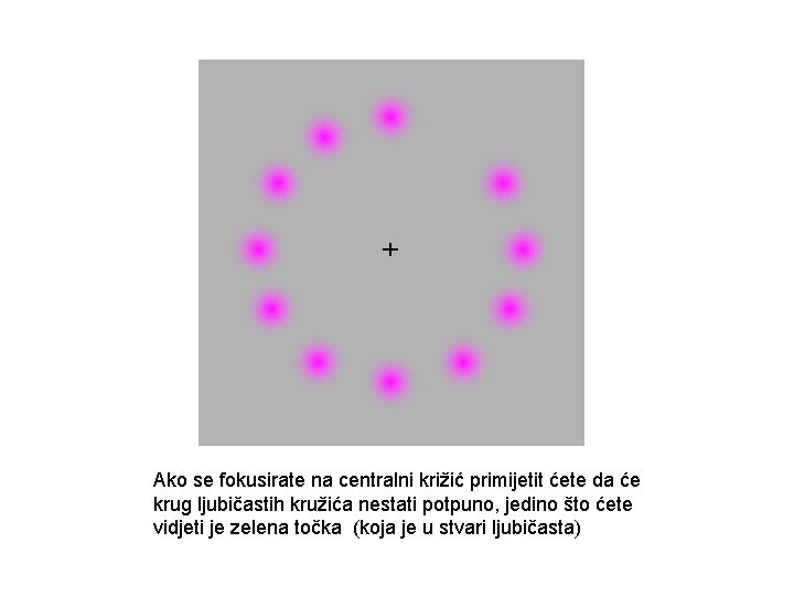 Ako se fokusirate na centralni križić primijetit ćete da će krug ljubičastih kružića nestati