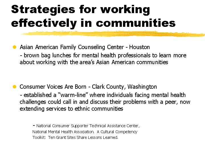 Strategies for working effectively in communities l Asian American Family Counseling Center - Houston