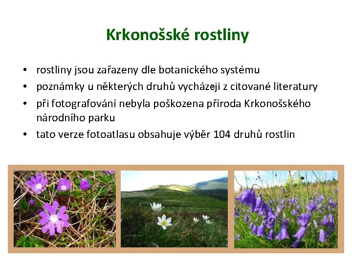 Krkonošské rostliny • rostliny jsou zařazeny dle botanického systému • poznámky u některých druhů