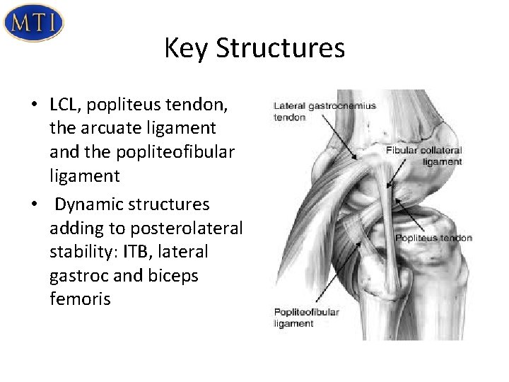 Key Structures • LCL, popliteus tendon, the arcuate ligament and the popliteofibular ligament •