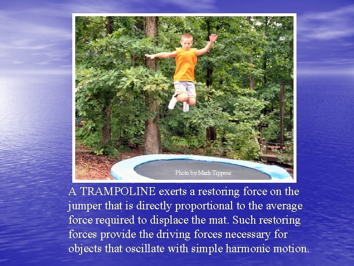 Photo by Mark Tippens A TRAMPOLINE exerts a restoring force on the jumper that