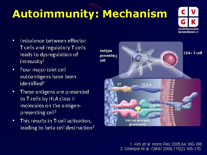 Autoimmunity: Mechanism • Imbalance between effector T cells and regulatory T cells leads to Autoimmunity: Mechanism • Imbalance between effector T cells and regulatory T cells leads to