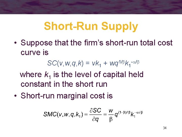 Short-Run Supply • Suppose that the firm’s short-run total cost curve is SC(v, w,