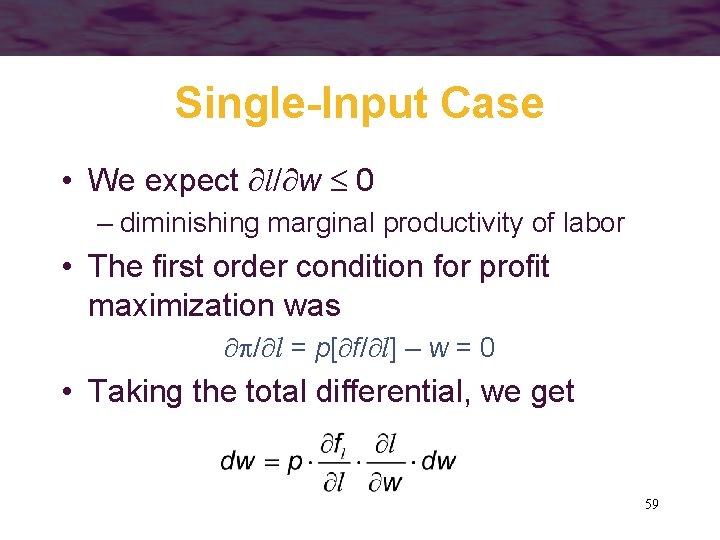 Single-Input Case • We expect l/ w 0 – diminishing marginal productivity of labor